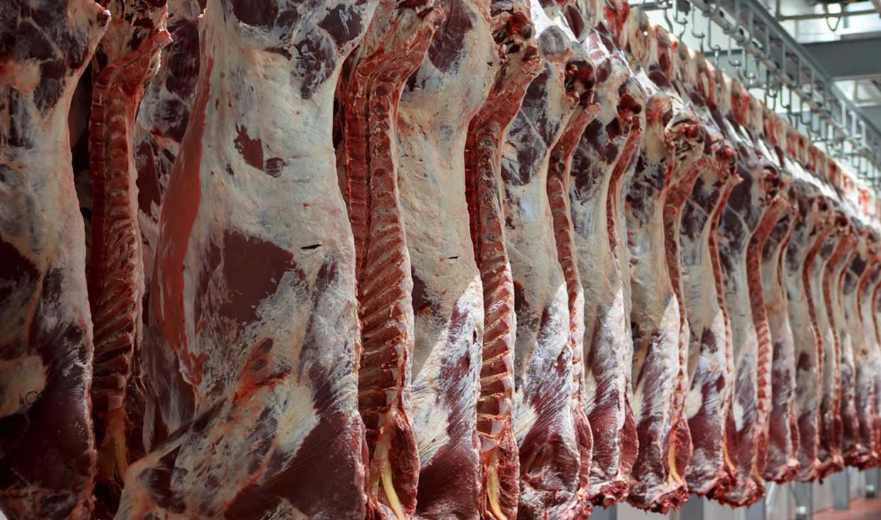  علت کمبود گوشت قرمز در قصابی های دزفول مشخص شد